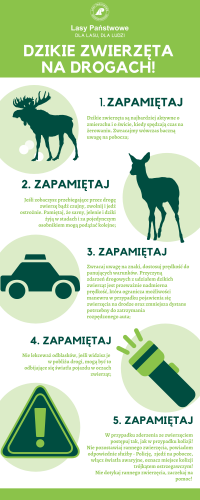 plakat z ostrzeżeniem o dzikich zwierzetach
