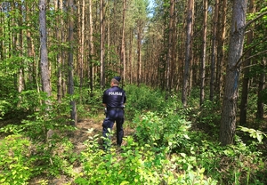 Wspólne ćwiczenia służb, policjant poszukujący osób zaginionych w lesie.