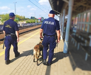 Wspólne patrole policji i SOK.