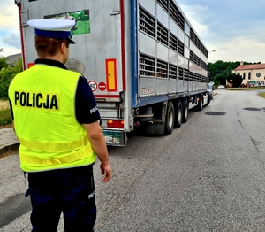 Policjanci i inspektorzy sprawdzili warunki przewozu zwierząt.