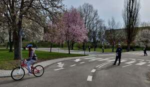 Eliminacje powiatowe Turnieju Bezpieczeństwa w Ruchu Drogowego.