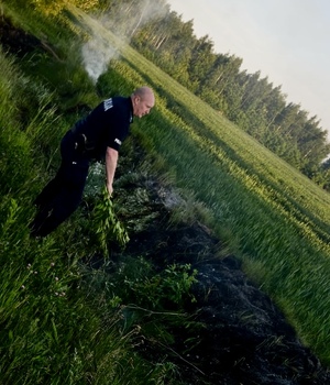 Policjant gaszący trawę.